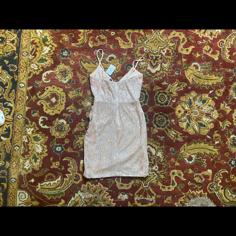 NWT Beautiful Windsor Dress